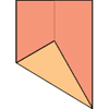 problem Icon