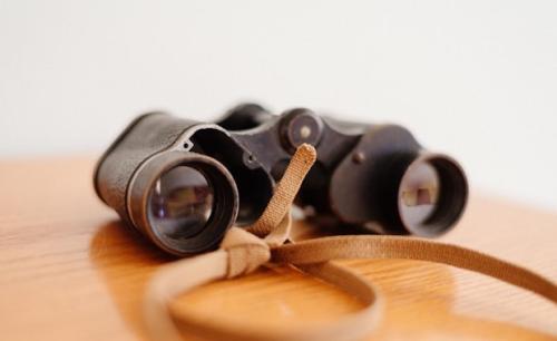 A pair of binoculars.