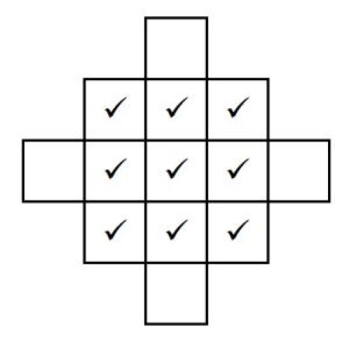 A 3 by 3 grid with ticks in each cell, with 4 extra cells placed neighbouring the centre of each edge.