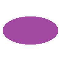 A purple oval.