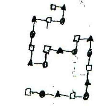 A Shapely Network