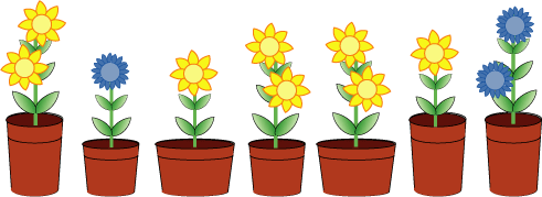 Seven Pots of Plants