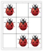 Ladybird Box