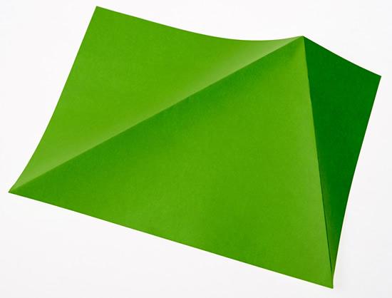 Folding Flowers 2