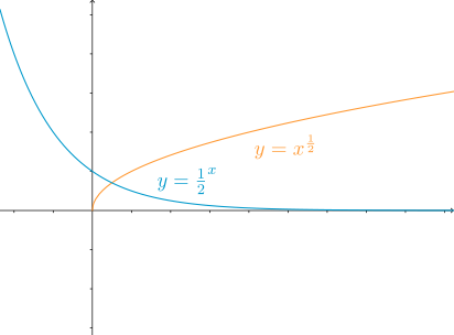 How fast does it grow?
