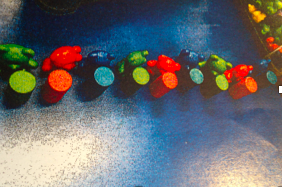 Developing Pattern Awareness with Young Children Developing Pattern Awareness with Young Children