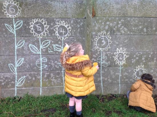 EYFS Thinking About: Sunflower Numbers