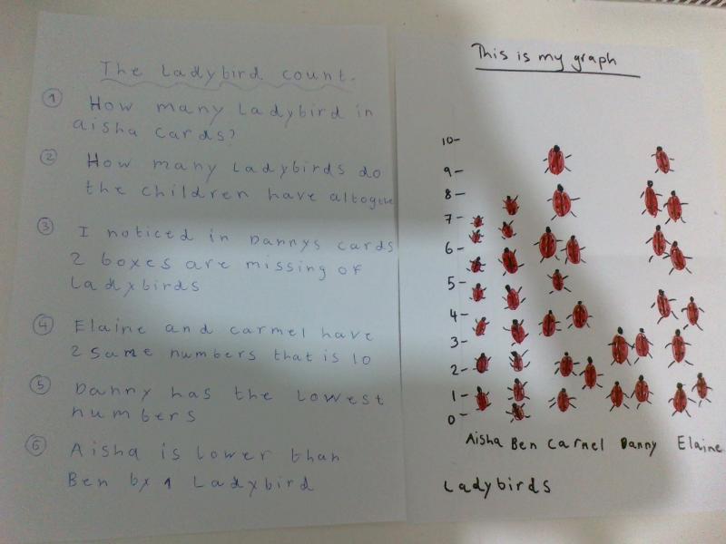 Ladybird Count