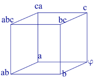 Cube Net