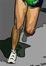 Circuit training