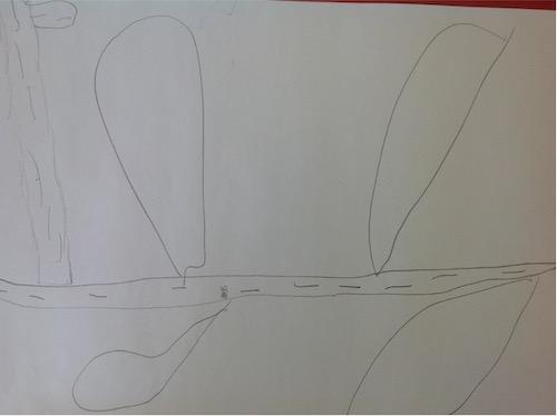 EYFS Thinking About: Map Making