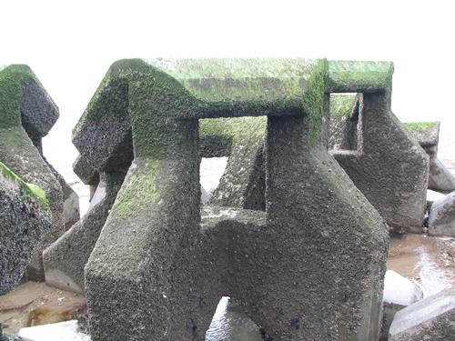 Sea Defences