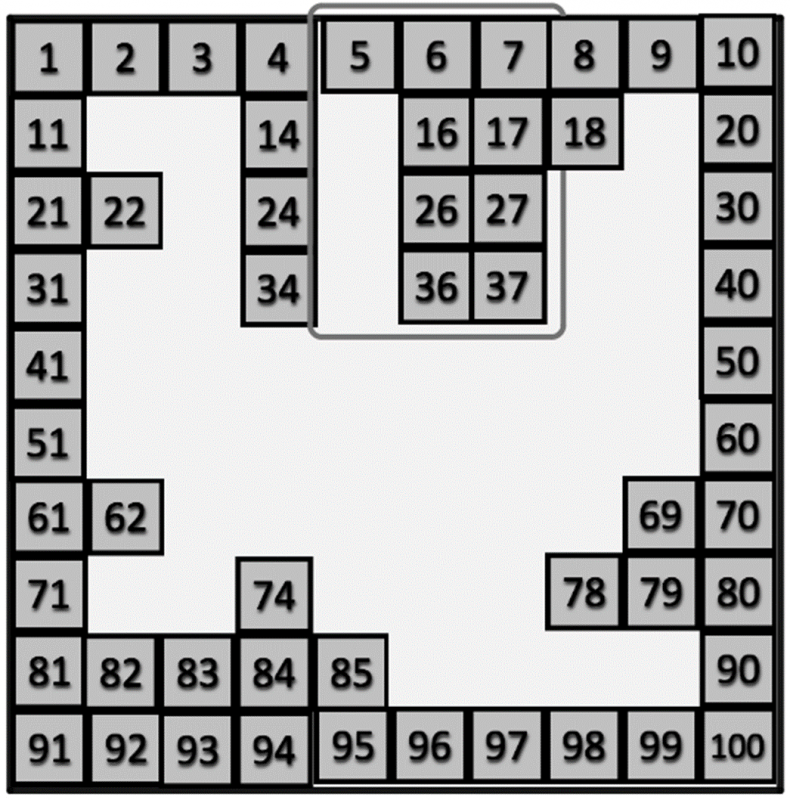 100 Square Jigsaw