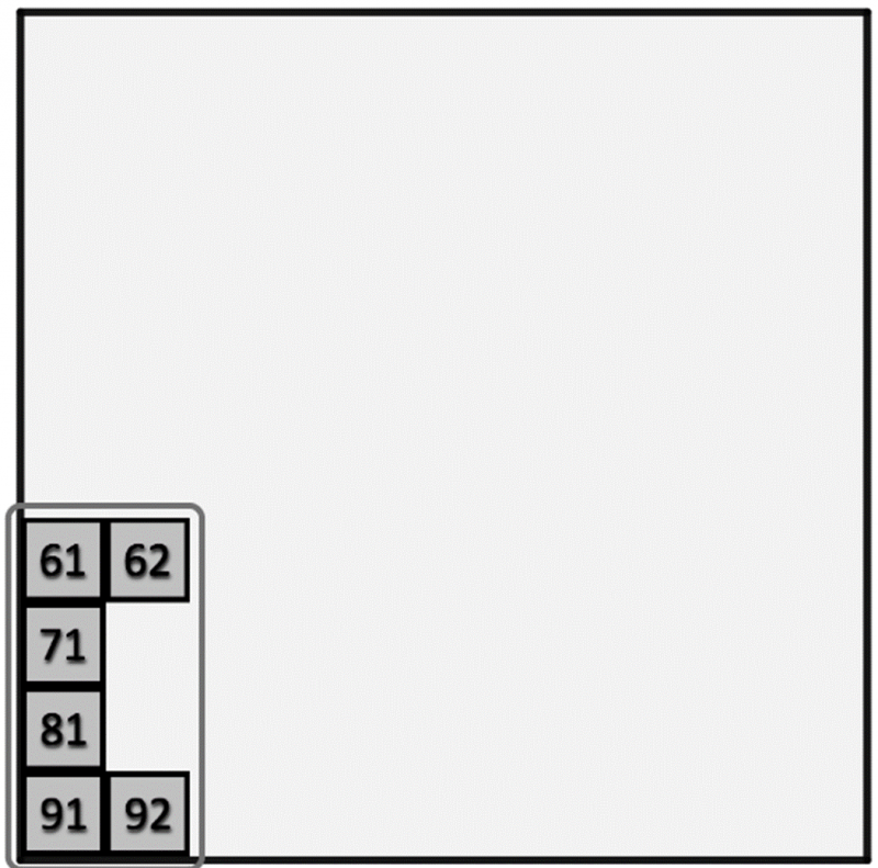 100 Square Jigsaw