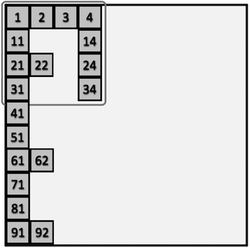 100 Square Jigsaw