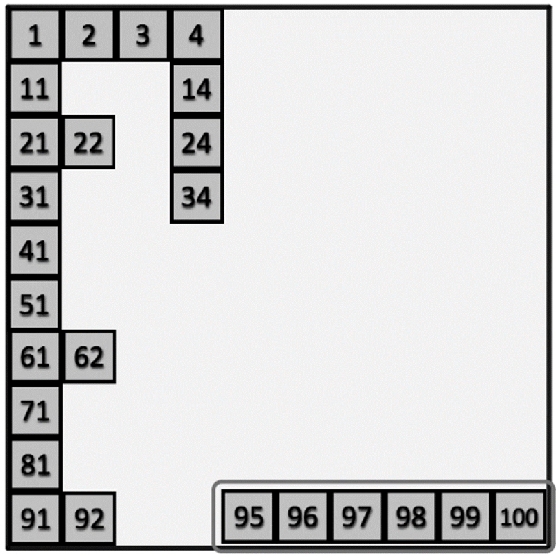 100 Square Jigsaw