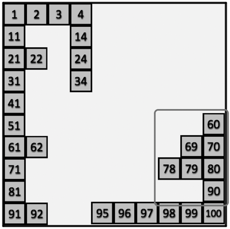 100 Square Jigsaw