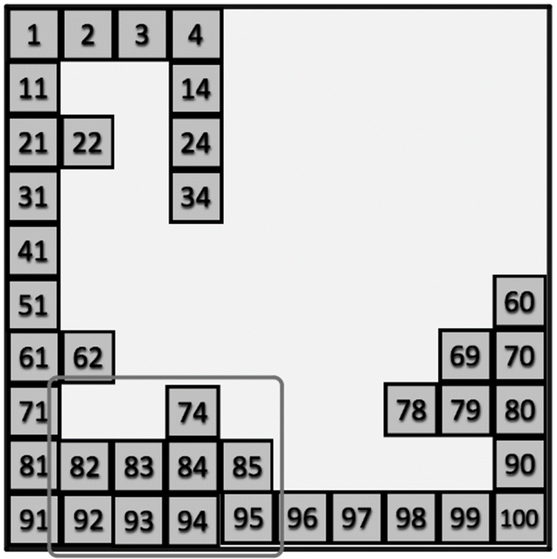 100 Square Jigsaw