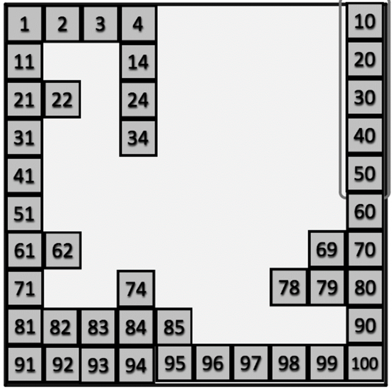 100 Square Jigsaw