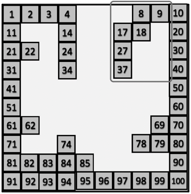 100 Square Jigsaw