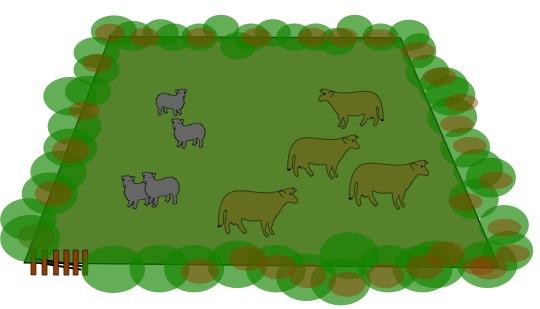 Cows and Sheep