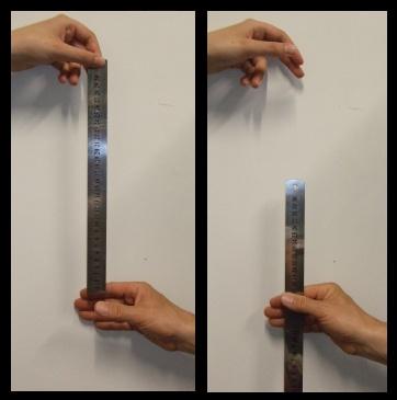 A friend drops the ruler randomly when your fingers are next to the zero mark, and you grab the ruler as quickly as you can when it starts falling.