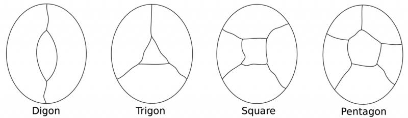 The Four Colour Theorem