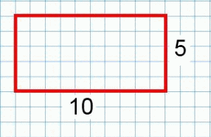 A 10 by 5 rectangle drawn on squared paper.