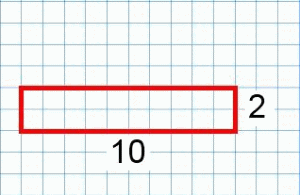 A 10 by 2 rectangle drawn on squared paper.