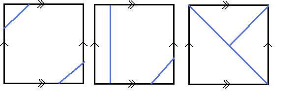 Torus patterns