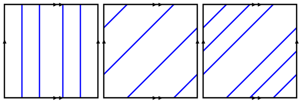 Torus patterns