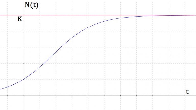 Population Dynamics - part 3
