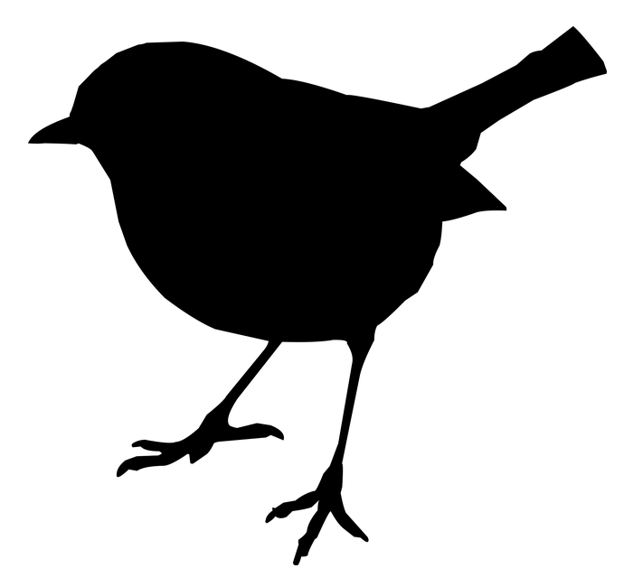 A bird.