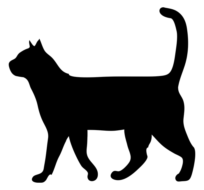 A cat.