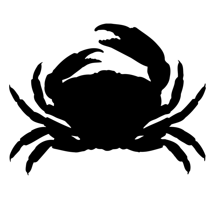 A crab.