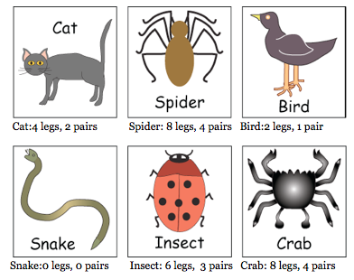 Pairs of legs