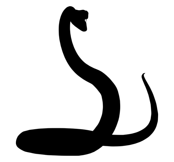 A snake.