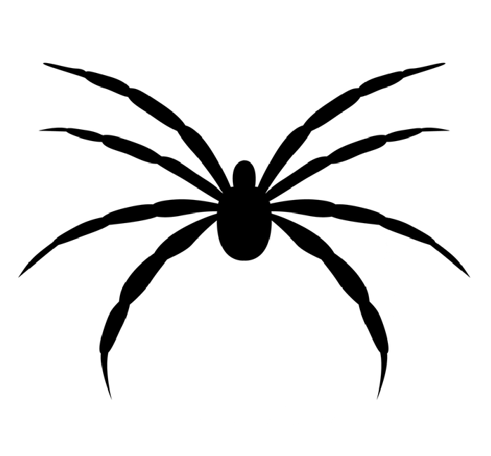 A spider.