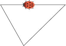 A triangle with all three sides of different lengths. There is a ladybird on the top side.