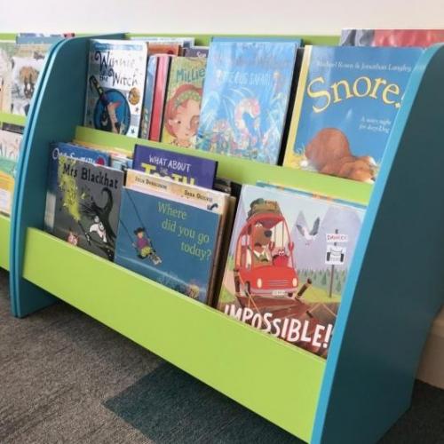 The front covers of some books in a library children's bookcase.