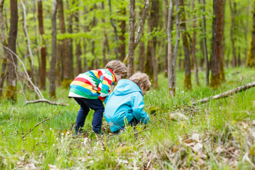 Two young boys in the woods, looking intently at something on the ground.