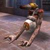 The Use of Mathematics in Computer Games