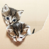 Two and Two