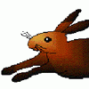 The hare and the tortoise