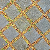 Seeing Squares