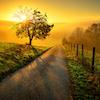 Strolling along