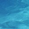 Swimming Pool Tiles