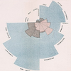 Florence Nightingale - The Compassionate Mathematician