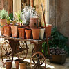 More Magic Potting sheds