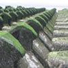 Sea Defences